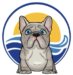 Oceanside French Bulldogs Miami